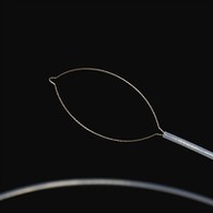 Prong Tipo Pinzamientos de cuerpo extraño ukax 1.1.